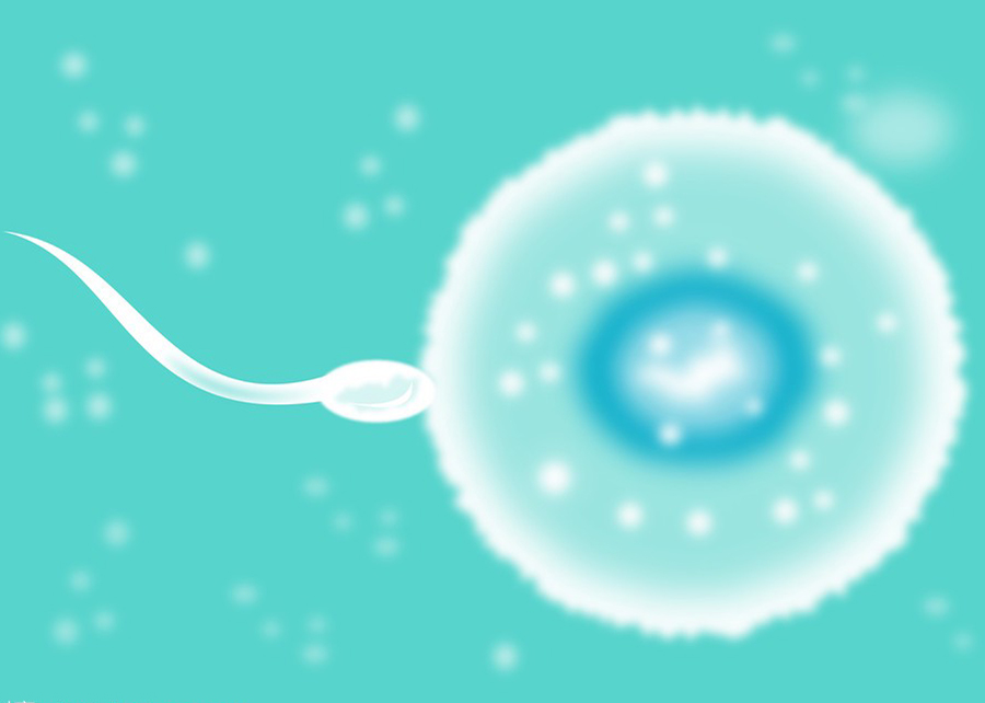 天门怀孕8周怎么做胎儿亲子鉴定,在天门哪些人适合做无创胎儿亲子鉴定