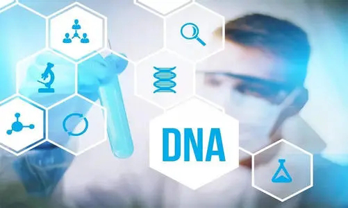 天门个人DNA亲子鉴定在哪里可以做,天门个人亲子鉴定结果准确吗