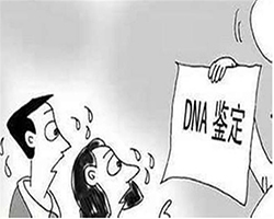 在天门什么医院能做DNA鉴定，天门医院做亲子鉴定基本的流程